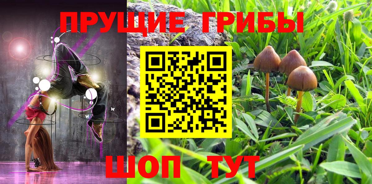 APVP Батайск